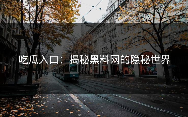 吃瓜入口：揭秘黑料网的隐秘世界