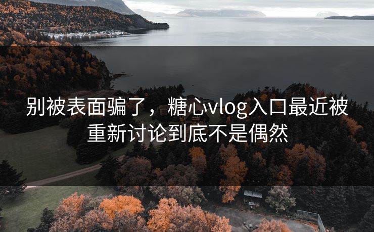 别被表面骗了,糖心vlog入口最近被重新讨论到底不是偶然