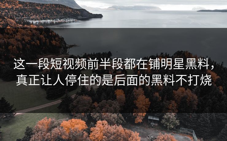 这一段短视频前半段都在铺明星黑料，真正让人停住的是后面的黑料不打烧