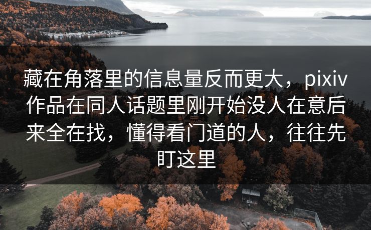 藏在角落里的信息量反而更大，pixiv作品在同人话题里刚开始没人在意后来全在找，懂得看门道的人，往往先盯这里