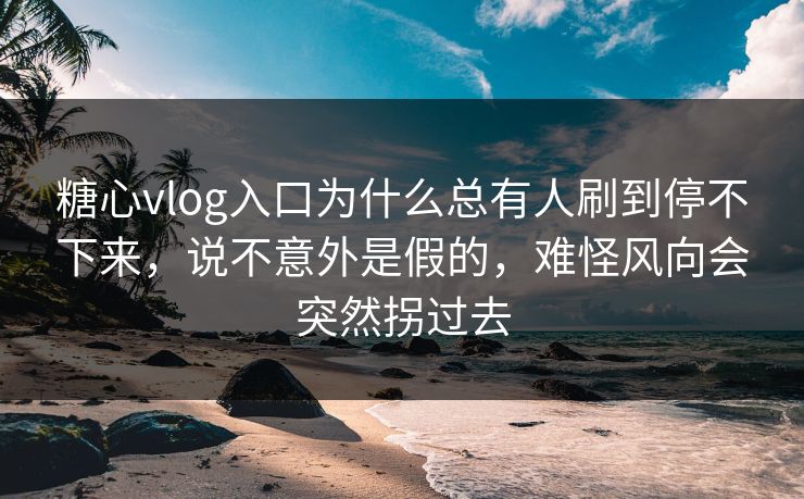 糖心vlog入口为什么总有人刷到停不下来，说不意外是假的，难怪风向会突然拐过去