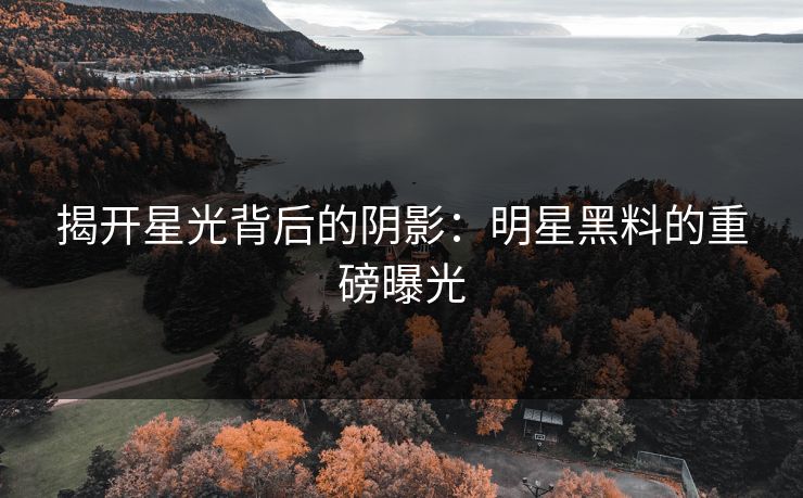 揭开星光背后的阴影：明星黑料的重磅曝光