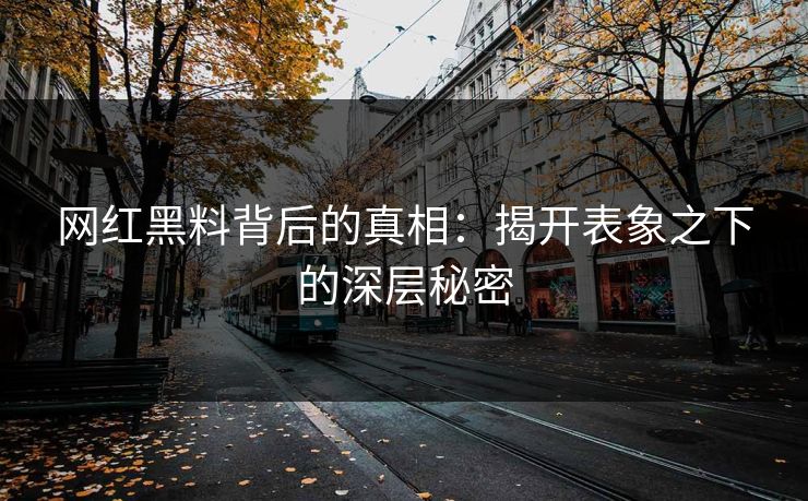 网红黑料背后的真相：揭开表象之下的深层秘密