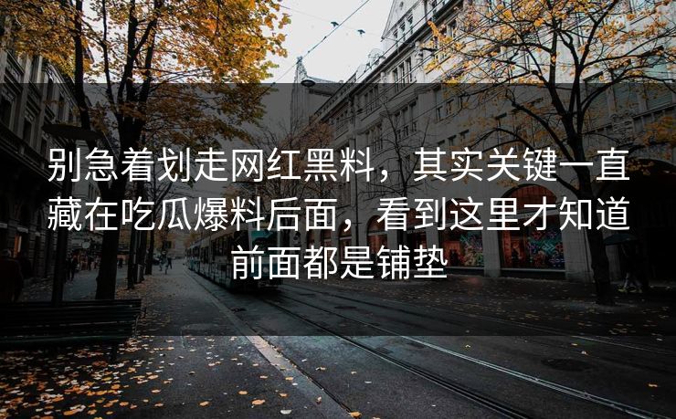 别急着划走网红黑料，其实关键一直藏在吃瓜爆料后面，看到这里才知道前面都是铺垫